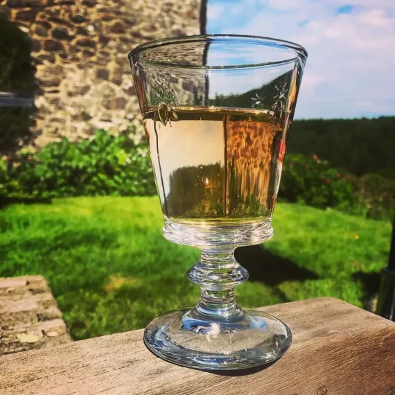 Набор из 6-ти бокалов для вина 350 мл, h 16 см, d 9,5 см, серия ABEILLE, La Rochere, изображение 18