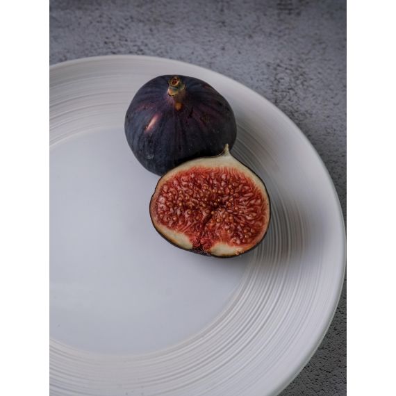 Тарелка мелкая d 19,5 см, h 2,5 см, фарфор, Linea, Casa di fortuna, изображение 8