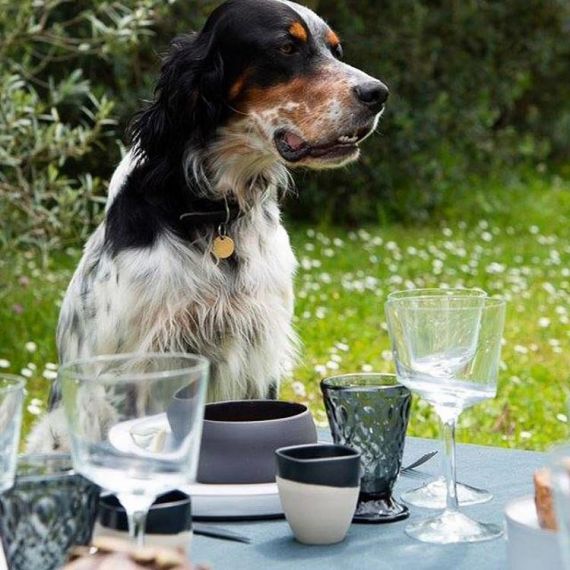 Набор из 6-ти стаканов на ножке, 200 мл, h 11,3 см, d 8 см, серия LYONNAIS anthracite, La Rochere, изображение 11