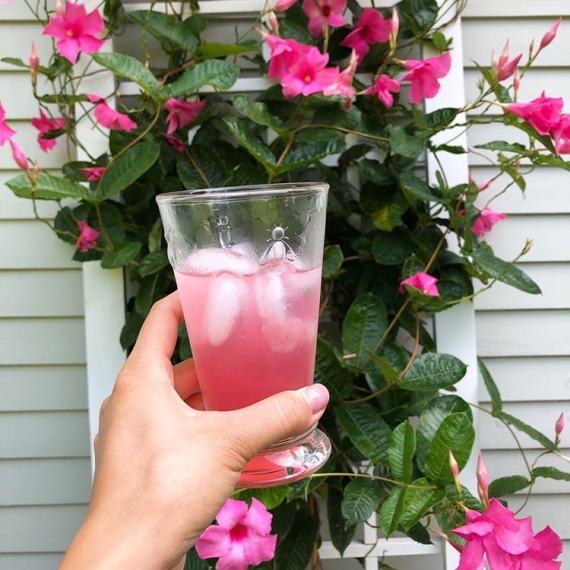 Набор из 6-ти стаканов H/B 310 мл, серия ABEILLE, La Rochere, изображение 3