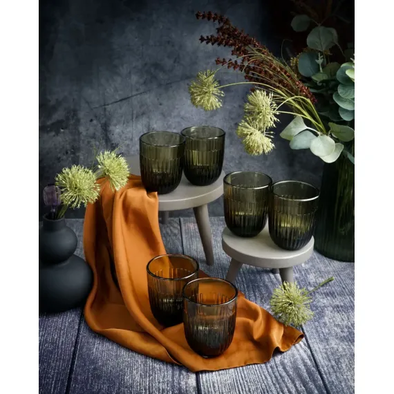 Набор из 6-ти стаканов O/F 290 мл, h 9,5 см, d 8 см, серия OUESSANT OLIVE, La Rochere, изображение 16