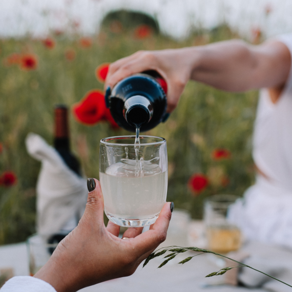 Набор из 6-ти стаканов o/F 280 мл, h 10,2 см, d 7,5 см, серия LIBELLULES, La Rochere, изображение 6